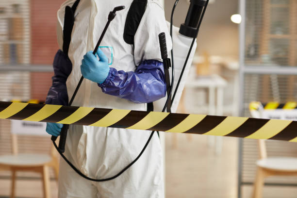 Professional Sewage Cleanup technician working in Glenwood, MN